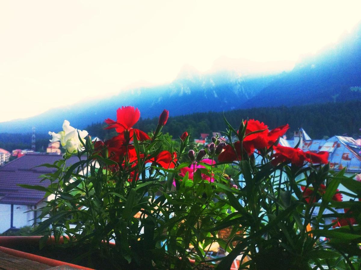 Bianca House Hotel บุชเตนี ภายนอก รูปภาพ