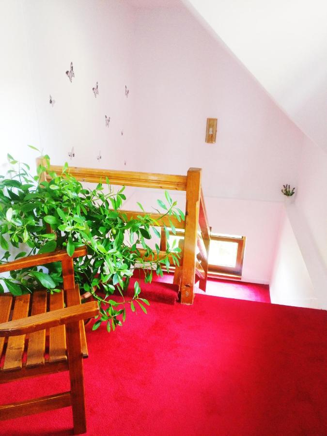 Bianca House Hotel บุชเตนี ภายนอก รูปภาพ
