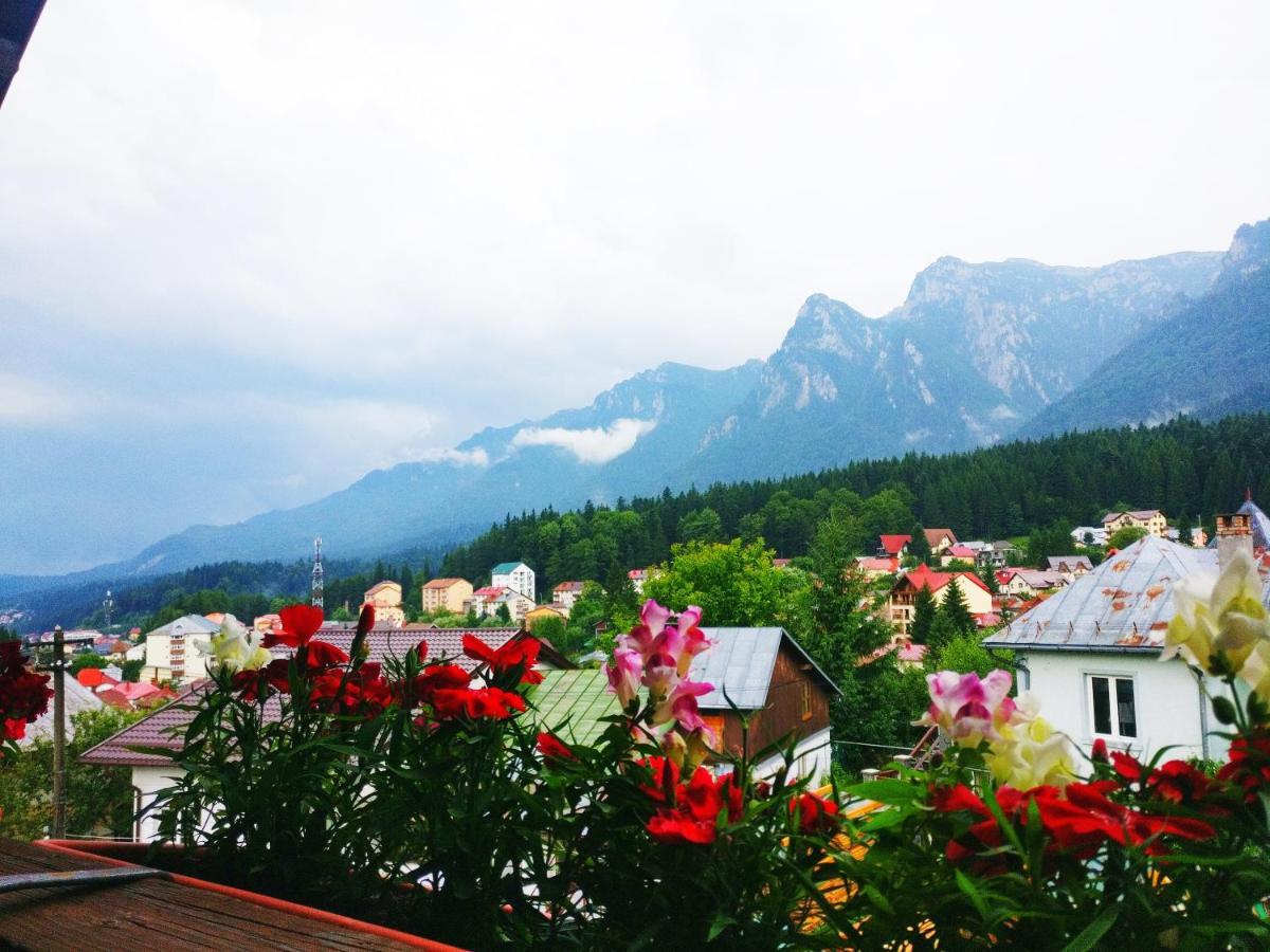 Bianca House Hotel บุชเตนี ภายนอก รูปภาพ