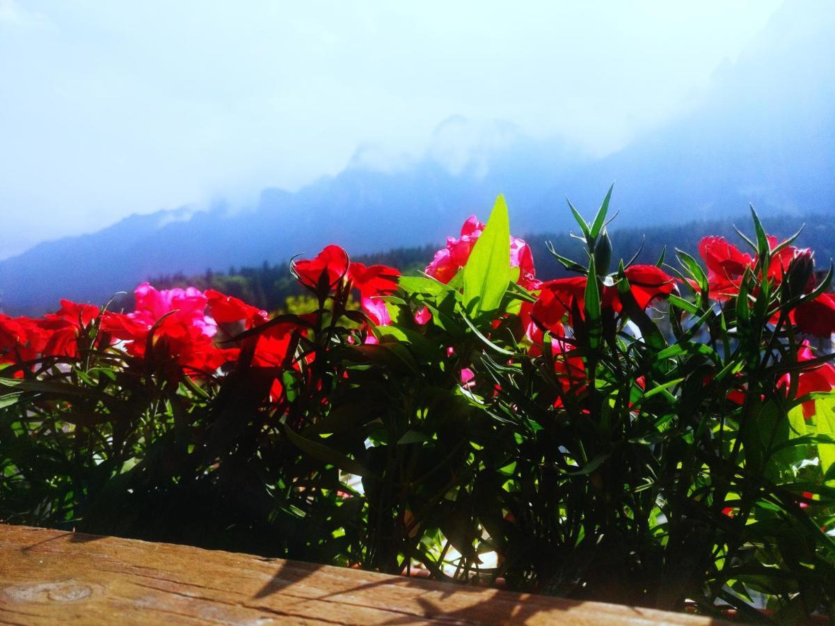 Bianca House Hotel บุชเตนี ภายนอก รูปภาพ