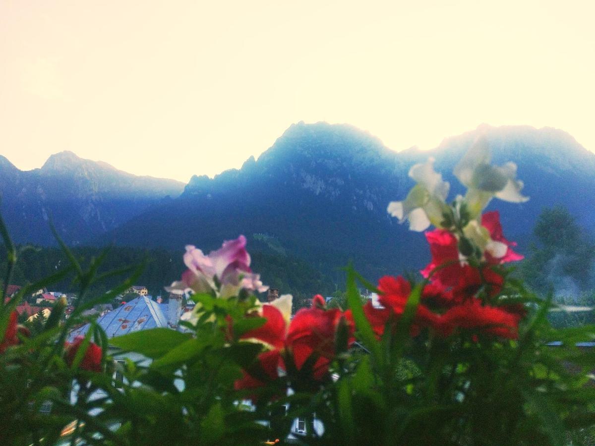 Bianca House Hotel บุชเตนี ภายนอก รูปภาพ